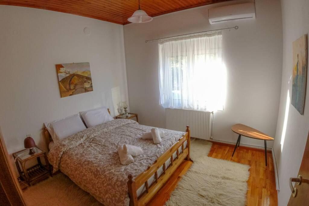 Breathtaking Lake View Cottage With A Fireplace Next To Ioannina City! Exterior foto